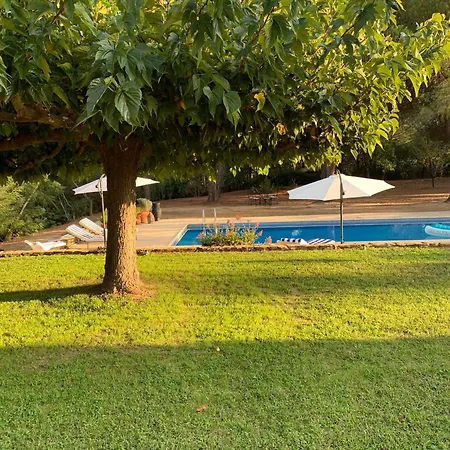 Avec Piscine Privée Sur Jardin Clos De 3000m2 Grimaud